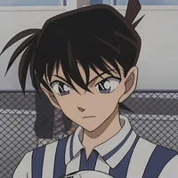 Kudo Shinichi (Cậu)