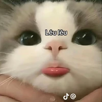 tg này chán