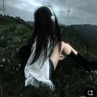 Art /🐺