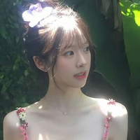 Phạm Miên Miên