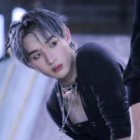 Hongshihoshi_em