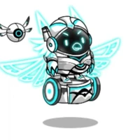 Echo