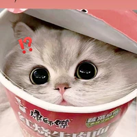 nhỏ t/g nè