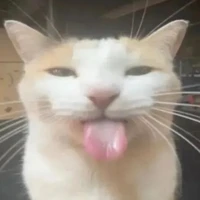 Tác giả đây!!