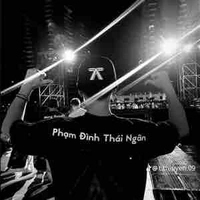 Phạm Đình Thái Ngân