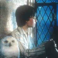 Harry James Potter
