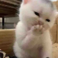 Hí hí 