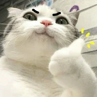 T/giả sinh ra để ngắm traii