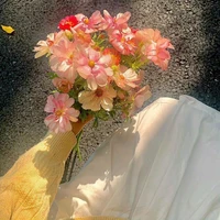 Hà Linh Lan