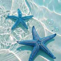 Người hầu ( ko rõ mặt nên cho đại avt)