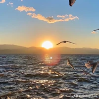 T/g cute hơi nóng tính