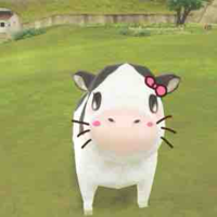tác giả cuteo