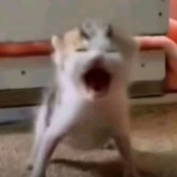Tác giả búp bê ba bi 👽👽