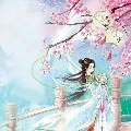 Hiền phi