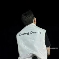 dương domic