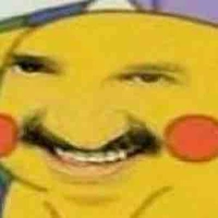 (Y/N)