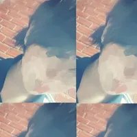 Tg