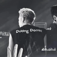 TRẦN ĐĂNG DƯƠNG(DƯƠNG DOMIC)1