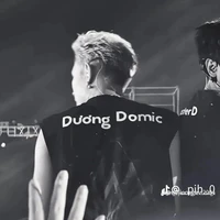 TRẦN ĐĂNG DƯƠNG(DƯƠNG DOMIC)1