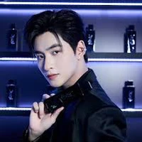 Huỳnh Hoàng Hùng-Gemini
