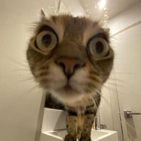 Nhìn gì vậy người đẹp 🙄