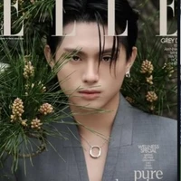 Đoàn Thế Lân - GreyD