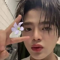 Nguyễn Quang Anh ( Rhyder)