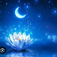 các anh cậu