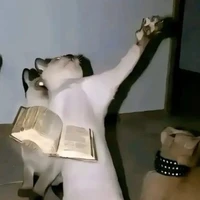 🎀Hệ thống🎀