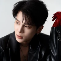 Phạm Đình Thái Ngân(Ba anh)