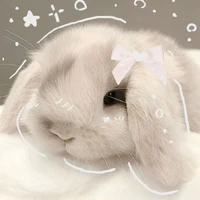 Piko