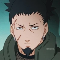 Nara Shikaku(N)