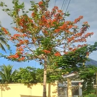 nguyên lớp trừ người nào cần trừ