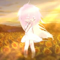 hiha alpha