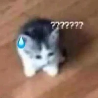 °hệ thống_yumi°