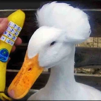 Dân tình bàn tán