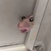 TG