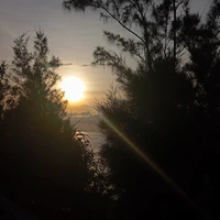 cảnh sát