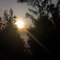 cảnh sát