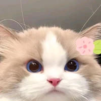 t/g đáng iuuu