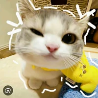 cả hai