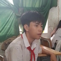 T. Anh
