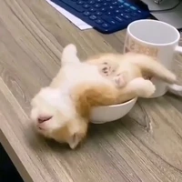 Nguyễn Hoàng Hạ Uyên _ Yume (Mi)