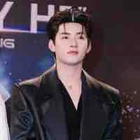 Huỳnh Hoàng Hùng (Gemini)