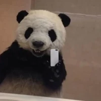 t/g khùng điên