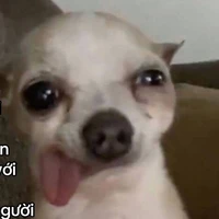 con chó:)