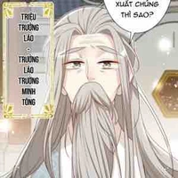 Triệu trưởng lão 