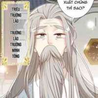 Triệu trưởng lão 