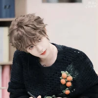 Hạ Tuấn Lâm