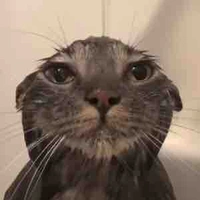 Nhân vật nào đó 